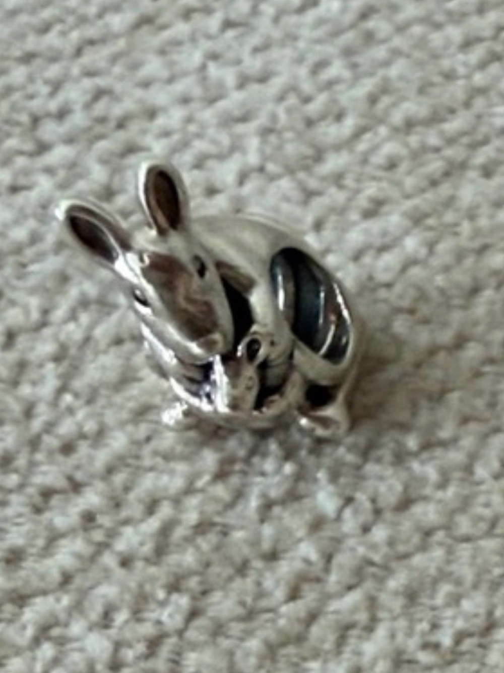 Silver charm Pandora